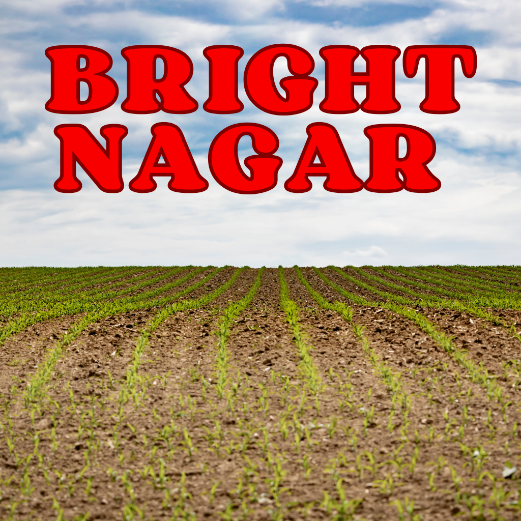 bright nagar